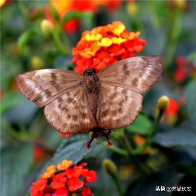 九游皇城传说游戏下载