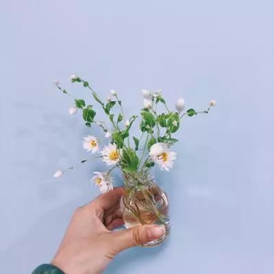 王者狼人杀手游下载